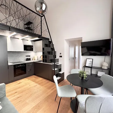 Rentero Modern High Ceiling Loft With Terrace Apartment, Daire